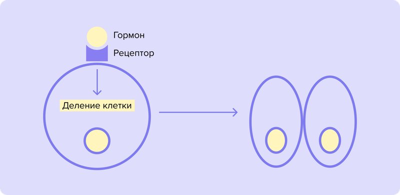 Group_2925.width-800