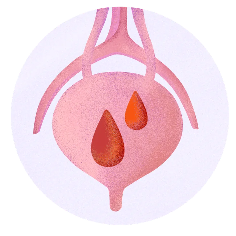 IMG_1601.width-826.format-webp