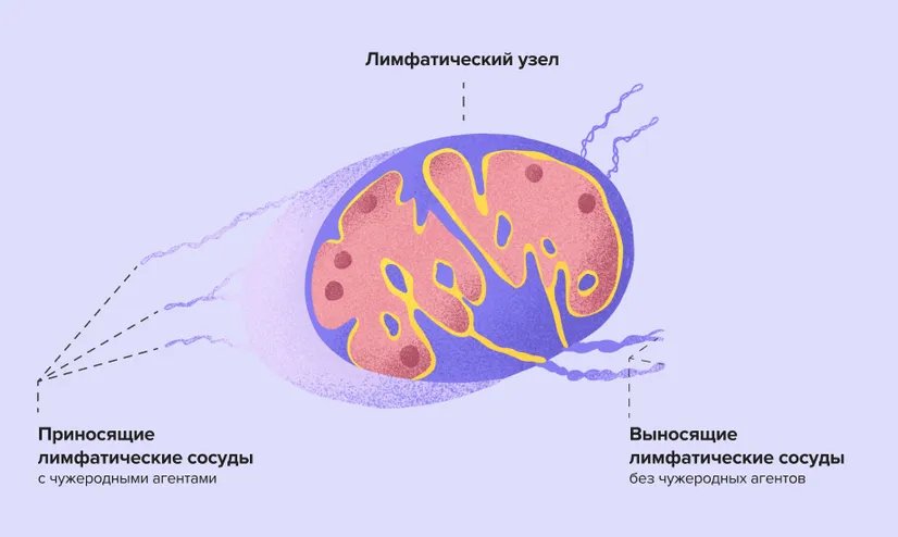 MacBook_Pro_-_70.width-826.format-webp