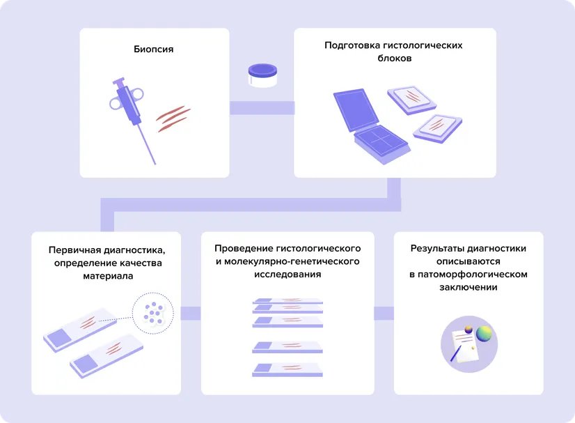 Ris_1_Biopsiia_OC3d6uD.width-826.format-webp