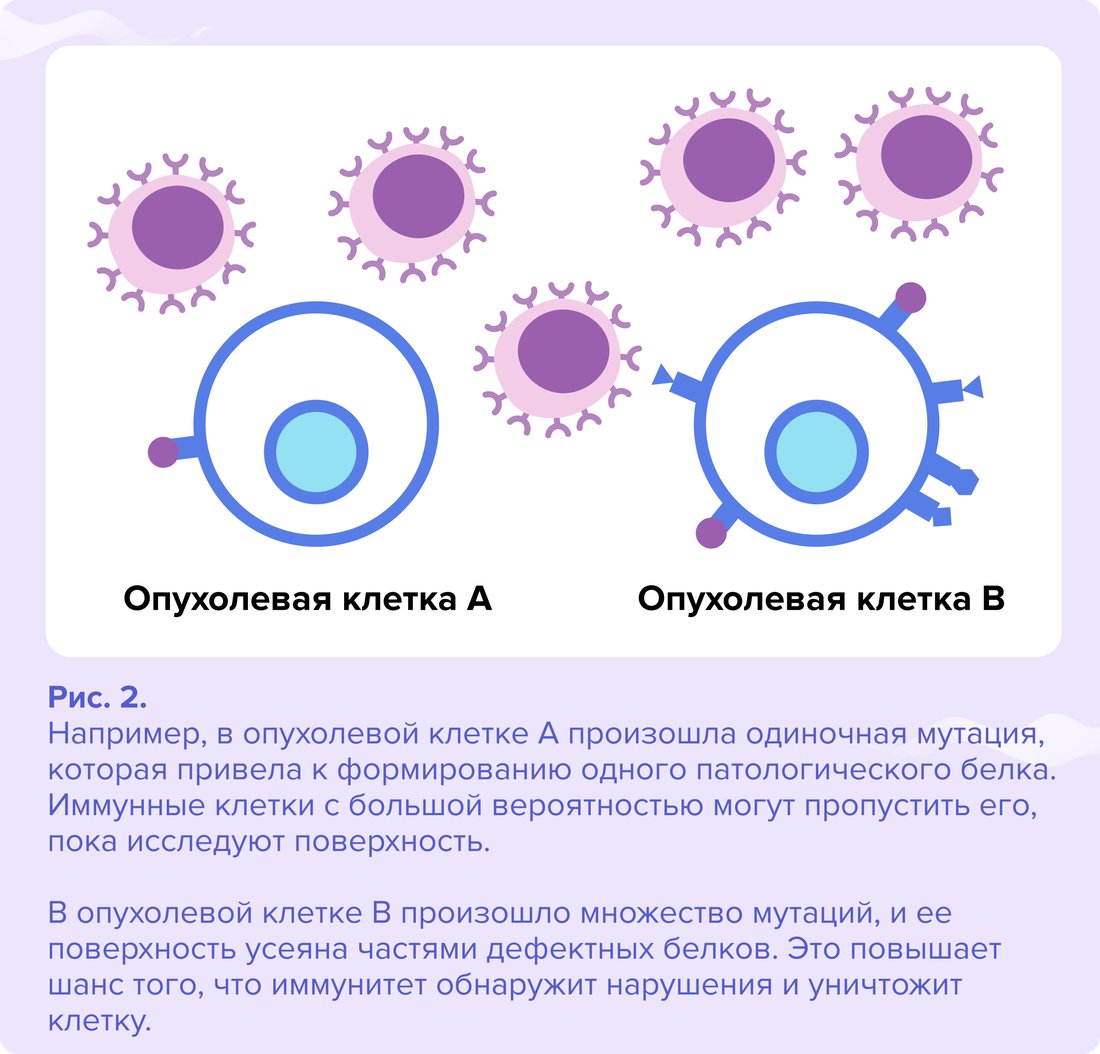 Зависимость реакции иммунной системы от количества патологических белков. (1)