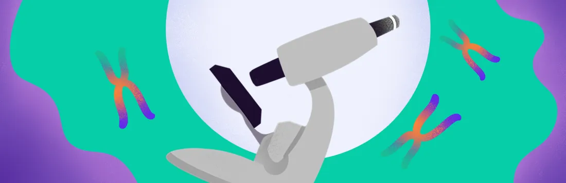 chistovik_2x.format-webp.width-1100